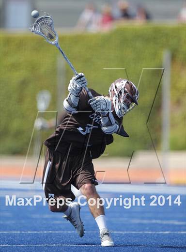 2014 - Photo #17