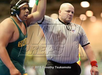 Thumbnail 1 in Sierra Nevada Classic (Preliminary Rounds) photogallery.