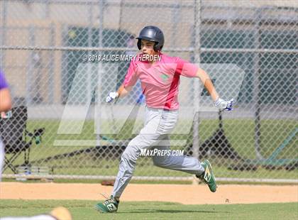 Thumbnail 3 in Weeki Wachee vs Hernando (Bay Area Baseball Fall Ball Classic) photogallery.