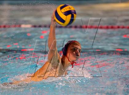 Thumbnail 3 in Royal @ Great Oak photogallery.