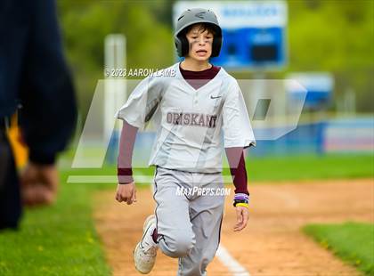 Thumbnail 3 in Oriskany @ New York Mills photogallery.