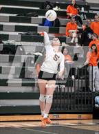 Photo from the gallery "Murray @ Hillcrest"
