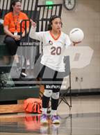 Photo from the gallery "Murray @ Hillcrest"