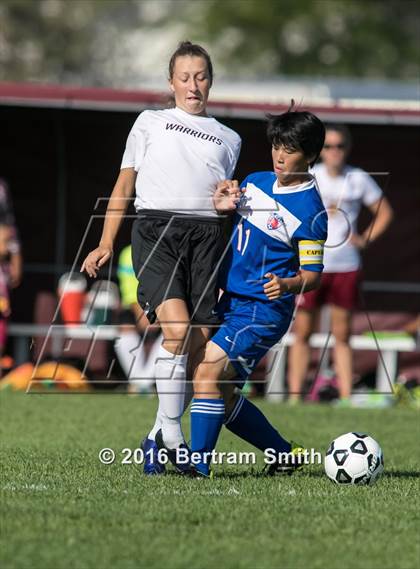 Thumbnail 1 in Medina vs Cheektowaga photogallery.
