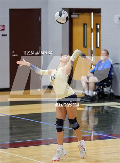 Thumbnail 1 in Perrin-Whitt vs Alvord (Poolville Summer Slam Tournament) photogallery.