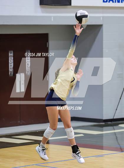 Thumbnail 2 in Perrin-Whitt vs Alvord (Poolville Summer Slam Tournament) photogallery.
