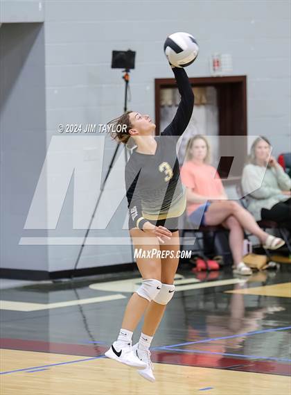 Thumbnail 1 in Perrin-Whitt vs Alvord (Poolville Summer Slam Tournament) photogallery.