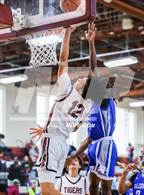 Photo from the gallery "Albany @ Kingston"