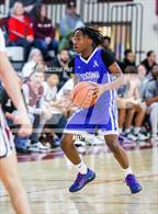 Photo from the gallery "Albany @ Kingston"