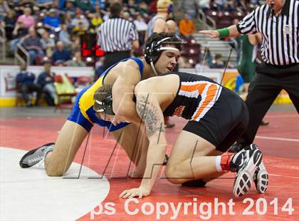 Thumbnail 1 in PIAA Wrestling Championships (Class AAA Finals) photogallery.