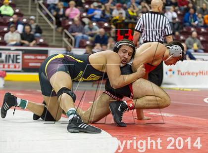 Thumbnail 1 in PIAA Wrestling Championships (Class AAA Finals) photogallery.