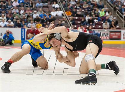 Thumbnail 3 in PIAA Wrestling Championships (Class AAA Finals) photogallery.