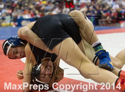 Thumbnail 1 in PIAA Wrestling Championships (Class AAA Finals) photogallery.
