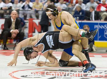 Thumbnail 3 in PIAA Wrestling Championships (Class AAA Finals) photogallery.