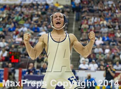 Thumbnail 1 in PIAA Wrestling Championships (Class AAA Finals) photogallery.