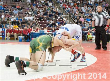 Thumbnail 2 in PIAA Wrestling Championships (Class AAA Finals) photogallery.
