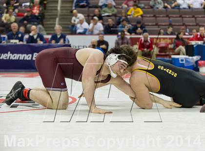 Thumbnail 3 in PIAA Wrestling Championships (Class AAA Finals) photogallery.