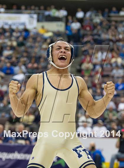 Thumbnail 3 in PIAA Wrestling Championships (Class AAA Finals) photogallery.
