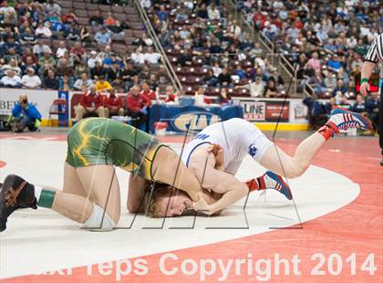 Thumbnail 3 in PIAA Wrestling Championships (Class AAA Finals) photogallery.