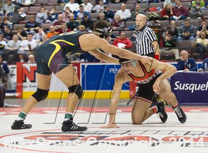 Thumbnail 3 in PIAA Wrestling Championships (Class AAA Finals) photogallery.