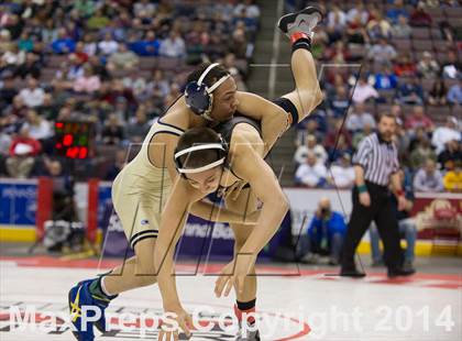 Thumbnail 3 in PIAA Wrestling Championships (Class AAA Finals) photogallery.