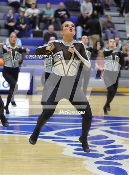 Thumbnail 2 in Pleasant Grove "Vikettes" photogallery.