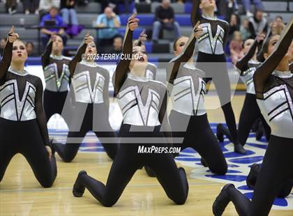 Thumbnail 3 in Pleasant Grove "Vikettes" photogallery.