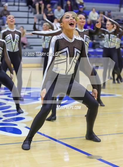 Thumbnail 3 in Pleasant Grove "Vikettes" photogallery.