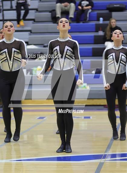 Thumbnail 3 in Pleasant Grove "Vikettes" photogallery.