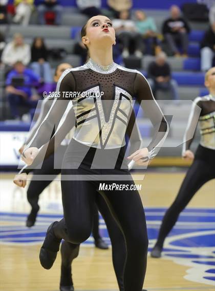 Thumbnail 3 in Pleasant Grove "Vikettes" photogallery.