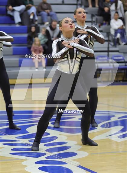 Thumbnail 3 in Pleasant Grove "Vikettes" photogallery.