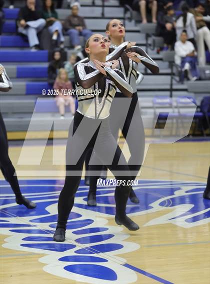 Thumbnail 2 in Pleasant Grove "Vikettes" photogallery.