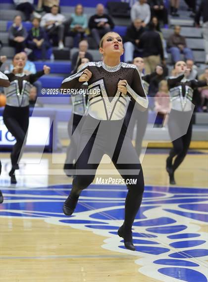 Thumbnail 1 in Pleasant Grove "Vikettes" photogallery.