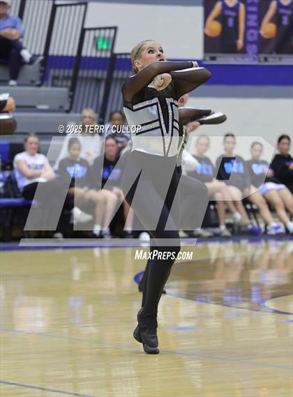 Thumbnail 3 in Pleasant Grove "Vikettes" photogallery.