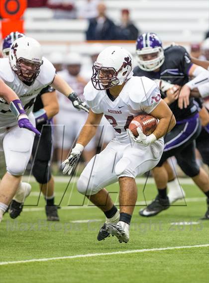 Thumbnail 2 in Aquinas vs. Monroe-Woodbury (NYSPHSAA Class AA Final) photogallery.