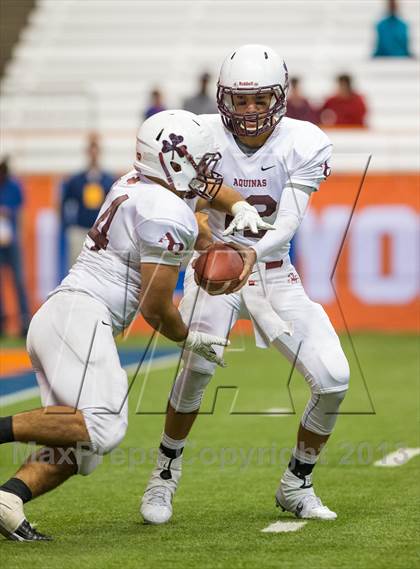 Thumbnail 2 in Aquinas vs. Monroe-Woodbury (NYSPHSAA Class AA Final) photogallery.