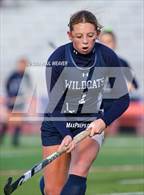 Photo from the gallery "Mifflinburg @ Danville"