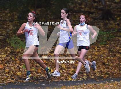 Thumbnail 3 in NSCHSAA Girls Cross Country Championship Nov 1, 2020 (Our Lady of Mercy Academy) photogallery.