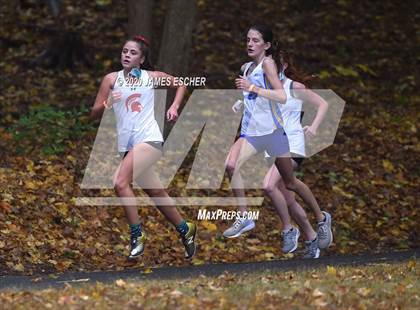 Thumbnail 2 in NSCHSAA Girls Cross Country Championship Nov 1, 2020 (Our Lady of Mercy Academy) photogallery.