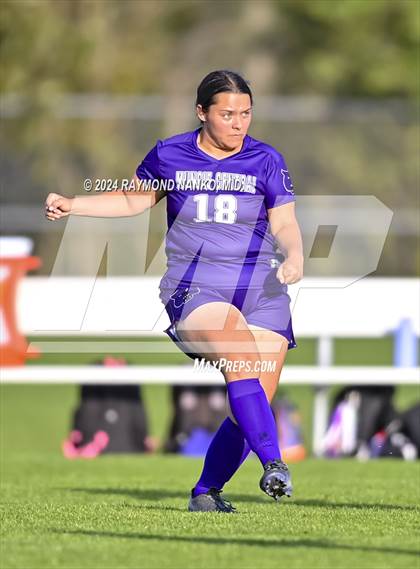 Thumbnail 1 in Pendleton Heights vs Muncie Central (IHSAA 3A Section 8 Round 1) photogallery.
