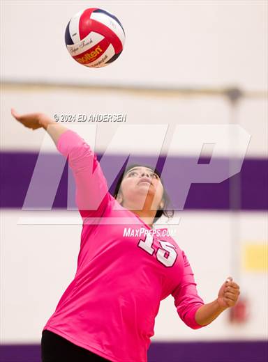 null - Photo 01