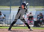 Photo from the gallery "Sheldon @ Vista del Lago"