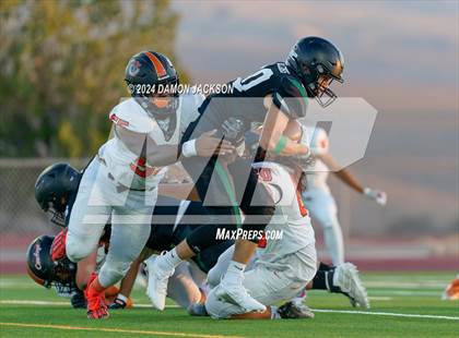 Thumbnail 2 in Chaparral @ Virgin Valley photogallery.