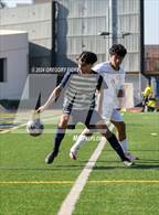 Photo from the gallery "Grant @ Notre Dame (SO)"