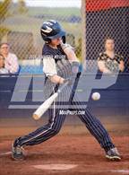 Photo from the gallery "Hayward @ American"