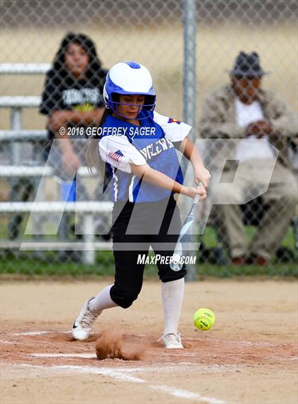 Thumbnail 3 in Englewood @ Fort Lupton photogallery.