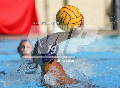 Thumbnail 3 in Newport Harbor v. Loyola (Elite 8 Water Polo Tournament) photogallery.