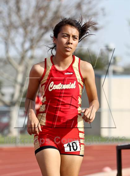 Thumbnail 2 in South West Yosemite League Meet #1 (1600m) photogallery.