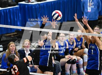 Thumbnail 1 in Del Norte vs. Haxtun (CHSAA 2A First Round) photogallery.