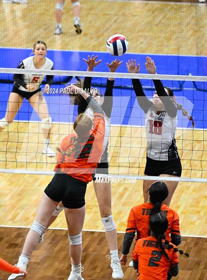 Thumbnail 1 in Del Norte vs. Haxtun (CHSAA 2A First Round) photogallery.